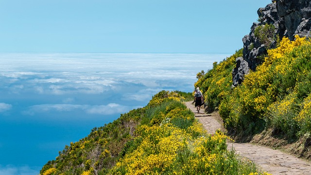Wandelen op Madeira over een prachtig wandelpad in de bergen