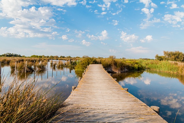 Vlonderpad door de Camargue