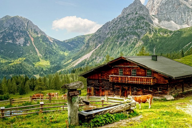 Berghut met koeien in Dachstein